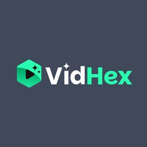VidHex logo