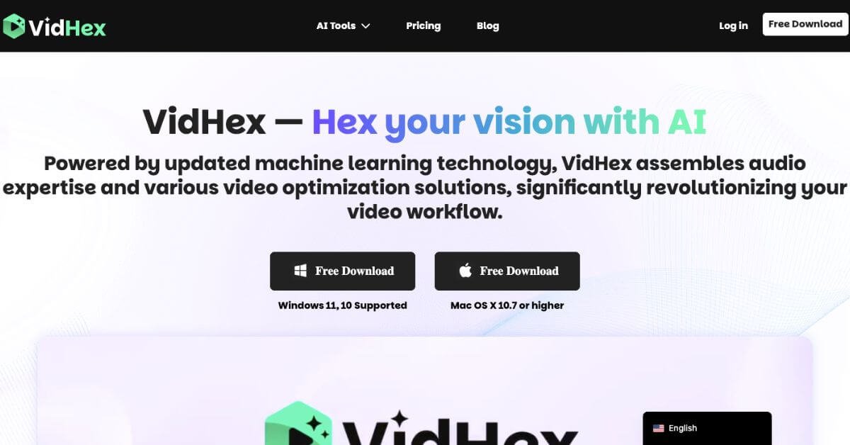 VidHex webpage