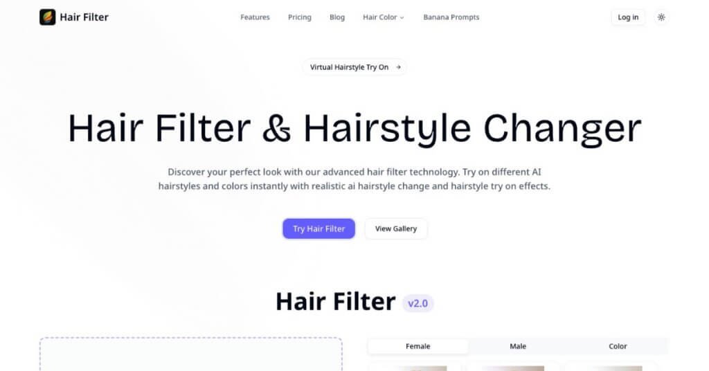 Hair Filter webpage
